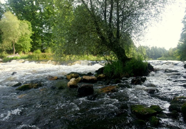 Exhibition  „WITH WARTA RIVER – NATURE AND SCENERY”
