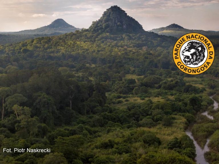 Ochrona przyrody w Mozambiku w obliczu wojny. Badania bioróżnorodności w Parku Narodowym Gorongosa