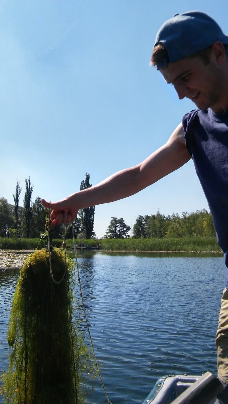 Stypendium Ministerstwa Nauki i Szkolnictwa Wyższego