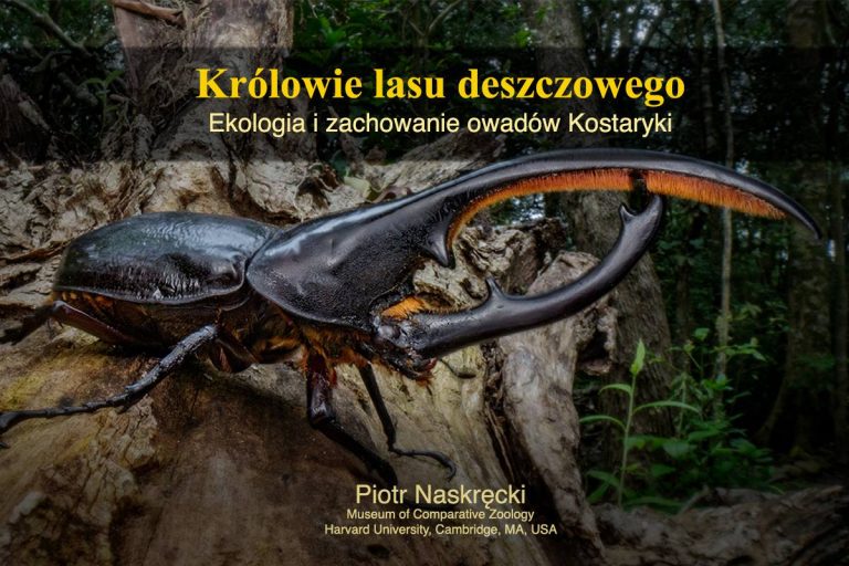 Wykład Piotra Naskręckiego pt. „Królowie lasu deszczowego. Ekologia i zachowanie owadów Kostaryki”