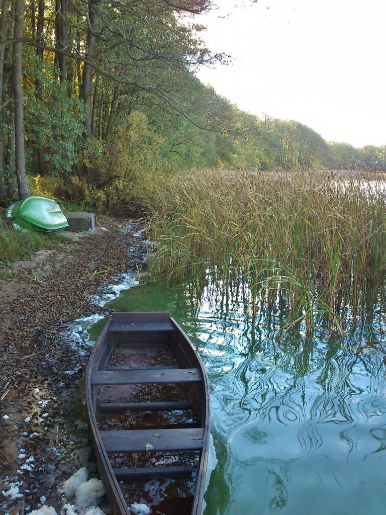 Mała drewniana łódka stoi częściowo w wodzie w pobliżu brzegu jeziora, otoczona wysoką trawą i trzcinami. Inna łódź spoczywa do góry dnem na brzegu obok drzew po lewej stronie. Scena jest spokojna i naturalna.