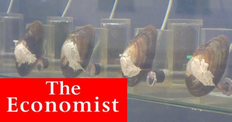 Małże w laboratorium z logo The Economist.