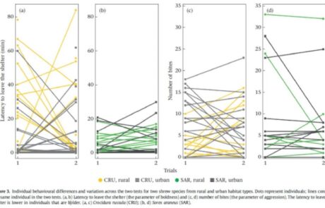 wykres różnice w behawiorze miejsckich i wiejskich populacji ryjówek